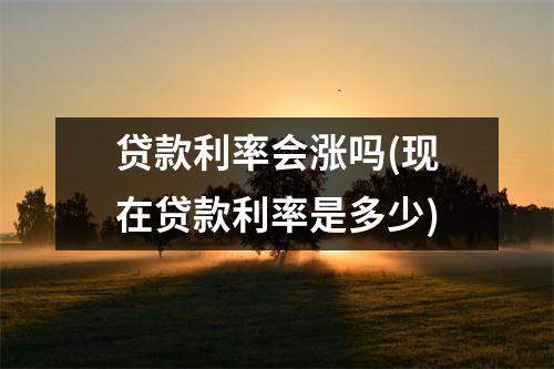 贷款利率会涨吗(现在贷款利率是多少)