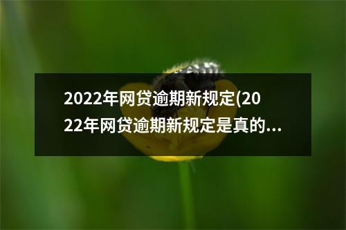 2022年网贷逾期新规定(2022年网贷逾期新规定是真的吗)