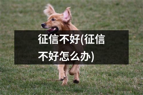 征信不好(征信不好怎么办)