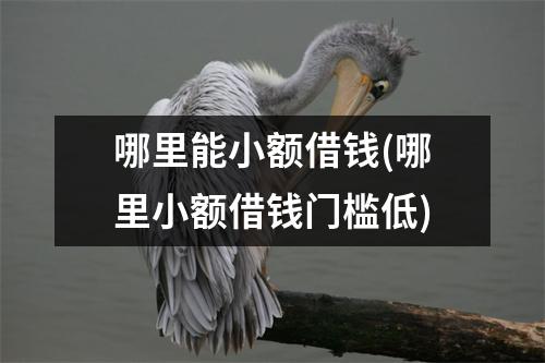 哪里能小额借钱(哪里小额借钱门槛低)