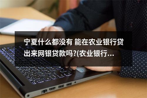 宁夏什么都没有 能在农业银行贷出来网银贷款吗?(农业银行贷款多久能批下来)
