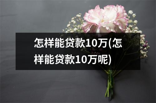 怎样能贷款10万(怎样能贷款10万呢)