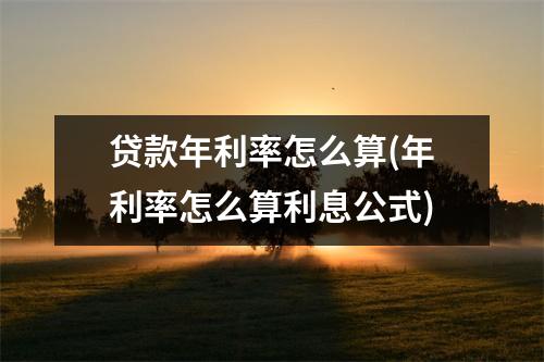 贷款年利率怎么算(年利率怎么算利息公式)