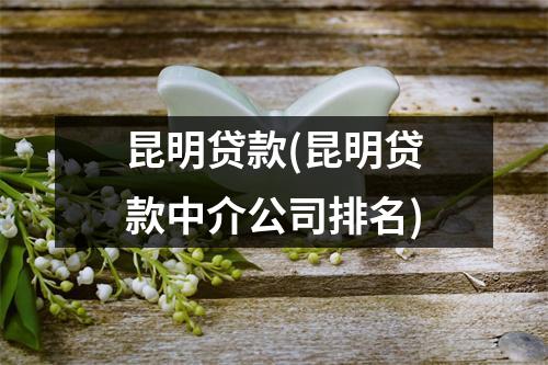昆明贷款(昆明贷款中介公司排名)