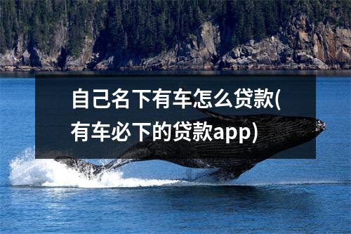 自己名下有车怎么贷款(有车必下的贷款app)