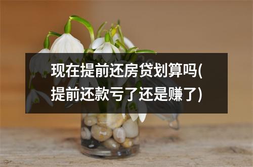 现在提前还房贷划算吗(提前还款亏了还是赚了)