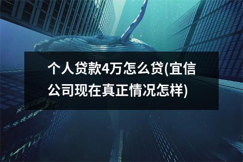 个人贷款4万怎么贷(宜信公司现在真正情况怎样)