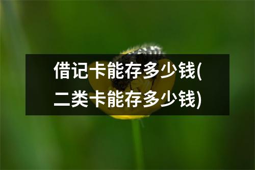 借记卡能存多少钱(二类卡能存多少钱)