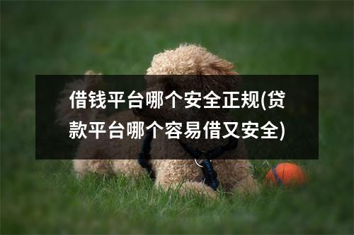 借钱平台哪个安全正规(贷款平台哪个容易借又安全)