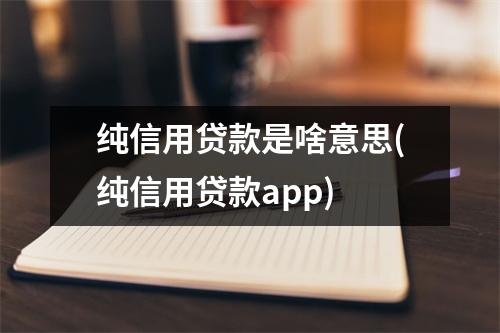 纯信用贷款是啥意思(纯信用贷款app)