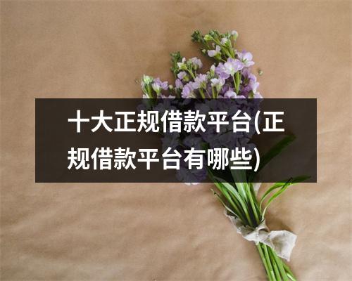 十大正规借款平台(正规借款平台有哪些)
