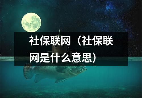 社保联网（社保联网是什么意思）
