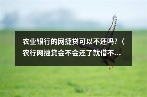农业银行的网捷贷可以不还吗?（农行网捷贷会不会还了就借不出来了）