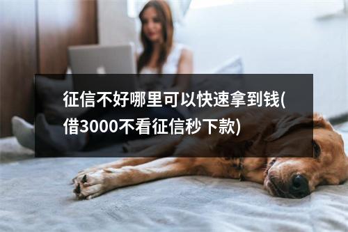 征信不好哪里可以快速拿到钱(借3000不看征信秒下款)