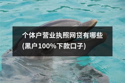 个体户营业执照网贷有哪些(黑户100%下款口子)
