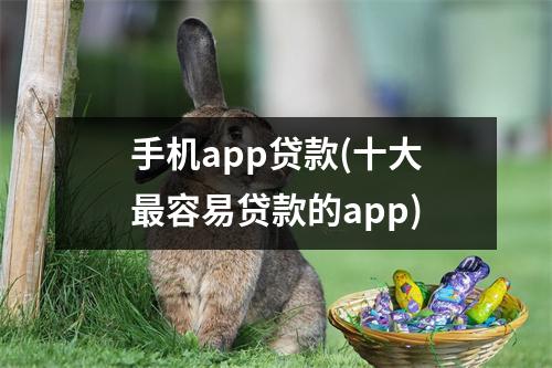 手机app贷款(十大最容易贷款的app)