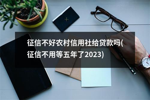 征信不好农村信用社给贷款吗(征信不用等五年了2023)