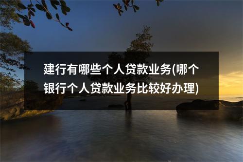建行有哪些个人贷款业务(哪个银行个人贷款业务比较好办理)