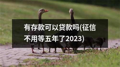 有存款可以贷款吗(征信不用等五年了2023)
