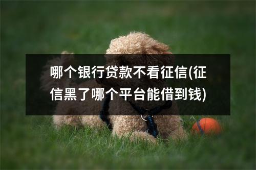 哪个银行贷款不看征信(征信黑了哪个平台能借到钱)