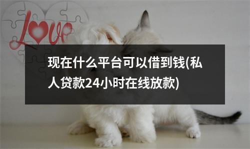 现在什么平台可以借到钱(私人贷款24小时在线放款)