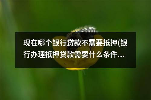 现在哪个银行贷款不需要抵押(银行办理抵押贷款需要什么条件)