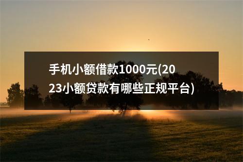 手机小额借款1000元(2023小额贷款有哪些正规平台)