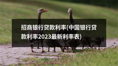 招商银行贷款利率(中国银行贷款利率2023最新利率表)
