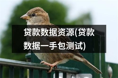 贷款数据资源(贷款数据一手包测试)