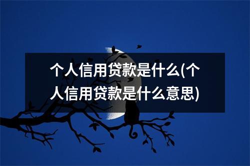 个人信用贷款是什么(个人信用贷款是什么意思)