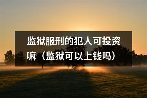 监狱服刑的犯人可投资嘛（监狱可以上钱吗）