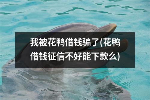 我被花鸭借钱骗了(花鸭借钱征信不好能下款么)