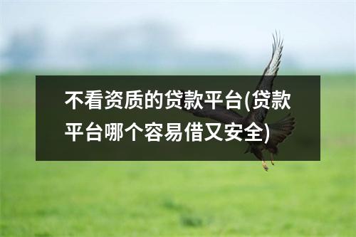 不看资质的贷款平台(贷款平台哪个容易借又安全)