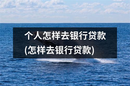 个人怎样去银行贷款(怎样去银行贷款)