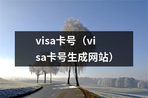 visa卡号（visa卡号生成网站）