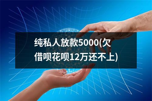 纯私人放款5000(欠借呗花呗12万还不上)