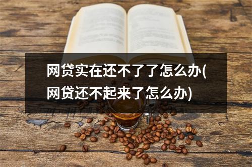 网贷实在还不了了怎么办(网贷还不起来了怎么办)