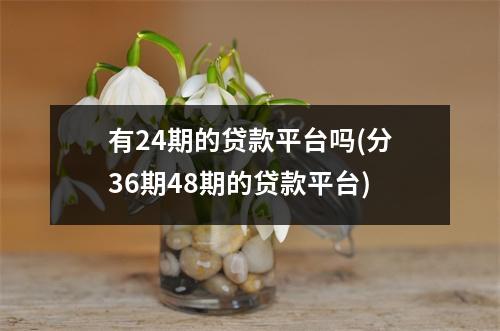 有24期的贷款平台吗(分36期48期的贷款平台)