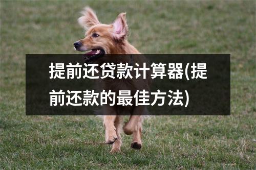 提前还贷款计算器(提前还款的最佳方法)