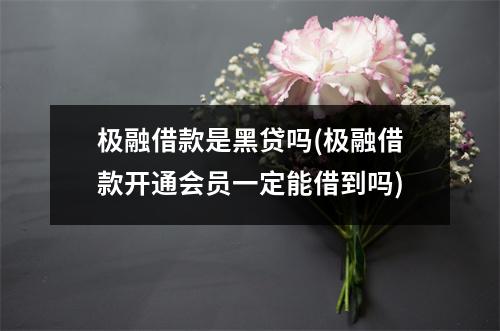 极融借款是黑贷吗(极融借款开通会员一定能借到吗)