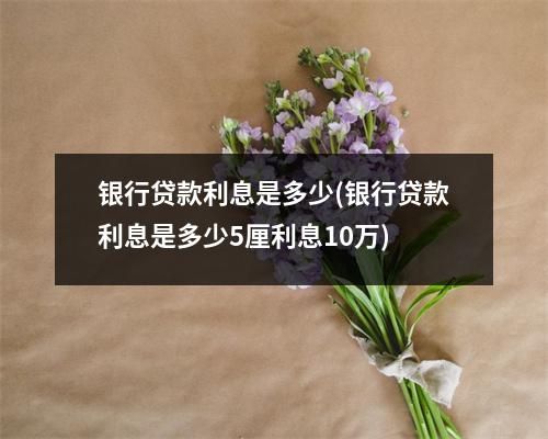 银行贷款利息是多少(银行贷款利息是多少5厘利息10万)