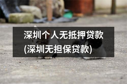 深圳个人无抵押贷款(深圳无担保贷款)