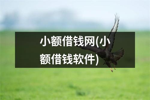 小额借钱网(小额借钱软件)