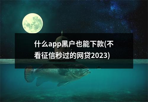 什么app黑户也能下款(不看征信秒过的网贷2023)