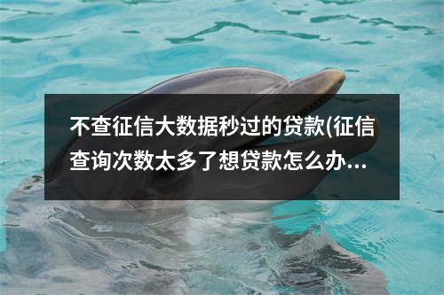 不查征信大数据秒过的贷款(征信查询次数太多了想贷款怎么办)