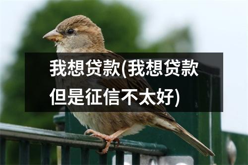 我想贷款(我想贷款但是征信不太好)