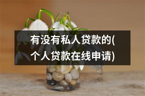 有没有私人贷款的(个人贷款在线申请)