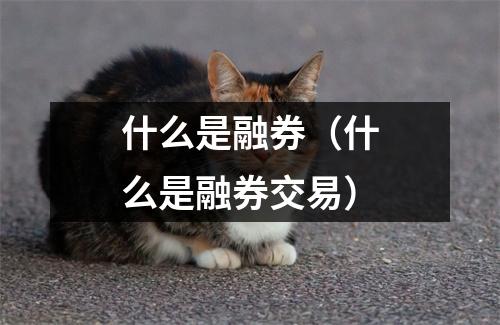 什么是融券（什么是融券交易）