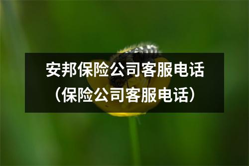 安邦保险公司客服电话（保险公司客服电话）