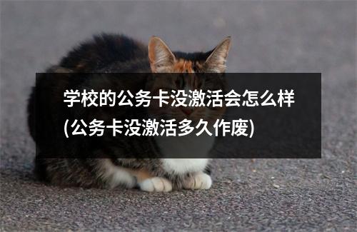 学校的公务卡没激活会怎么样(公务卡没激活多久作废)